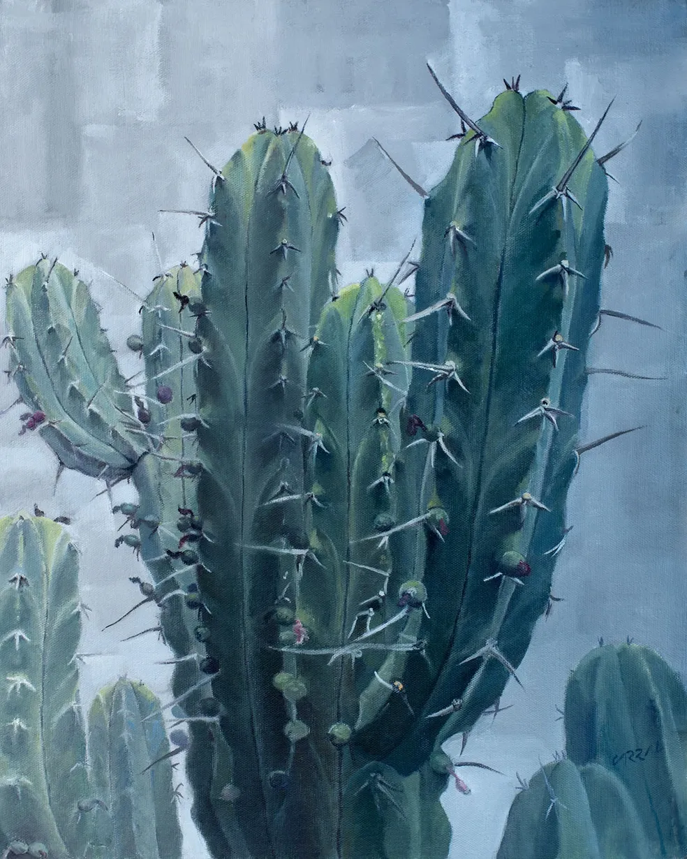 Estudio de un Garambullo