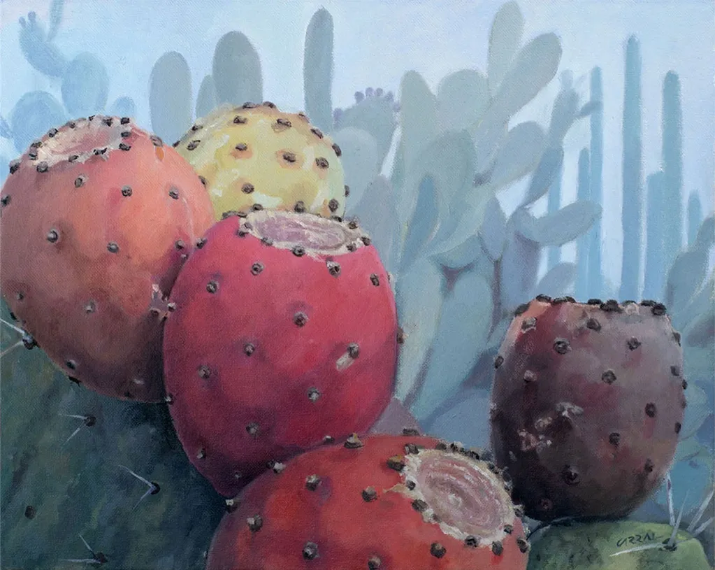 Maduración de las Tunas