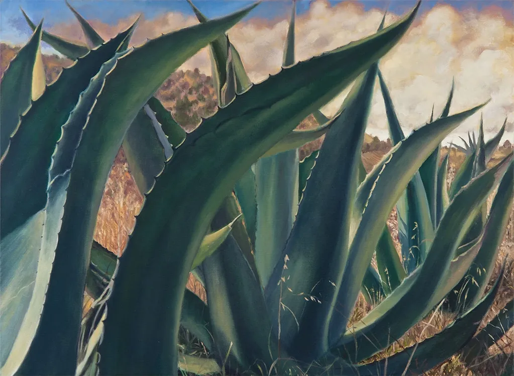 Magueyes Santamarina