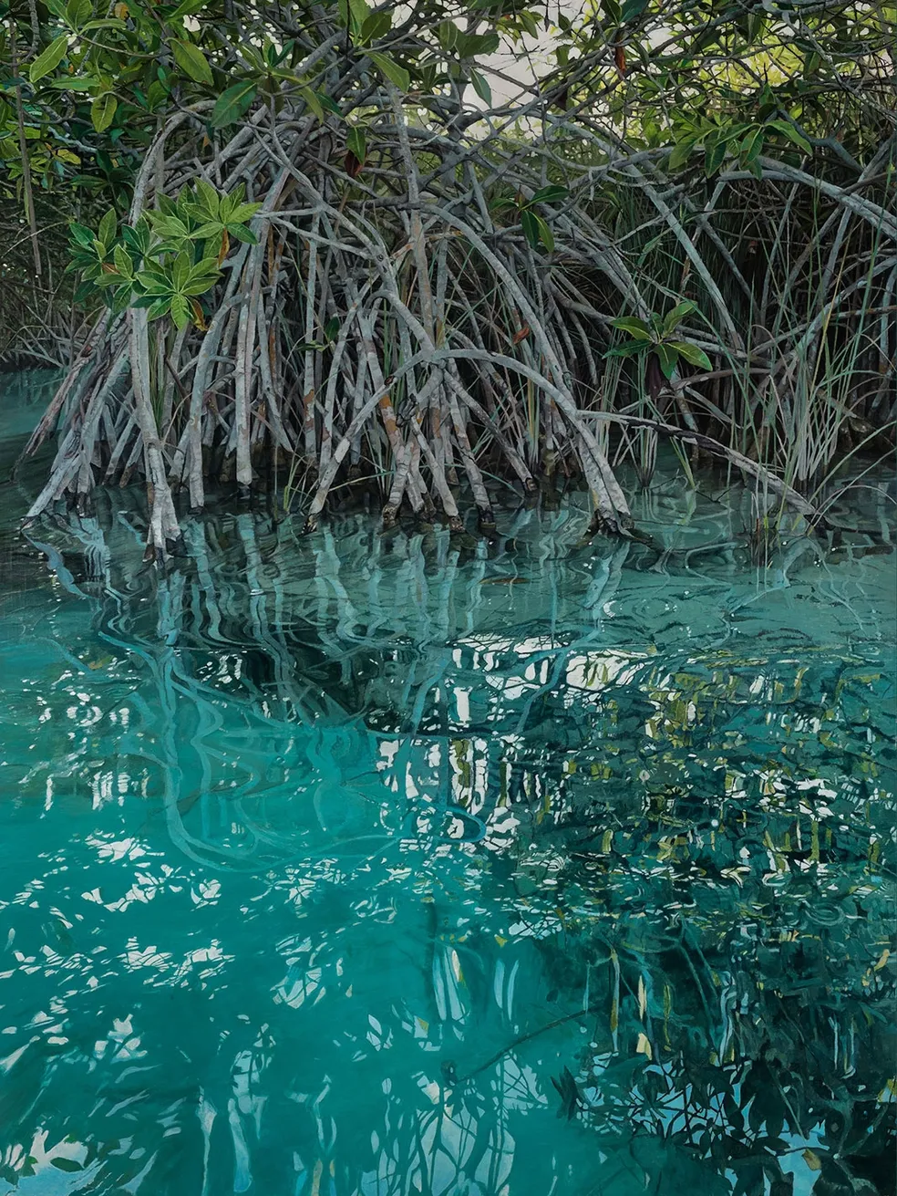 Manglar Sian Ka'an