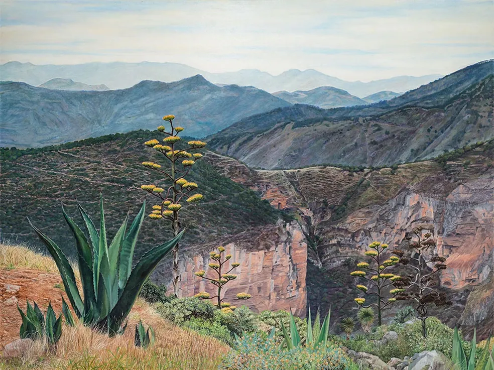 Mirador Cuatro Palos