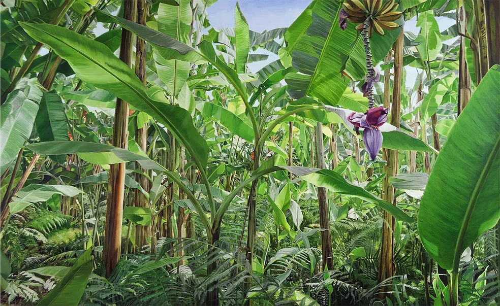 Platanar Santa Bárbara