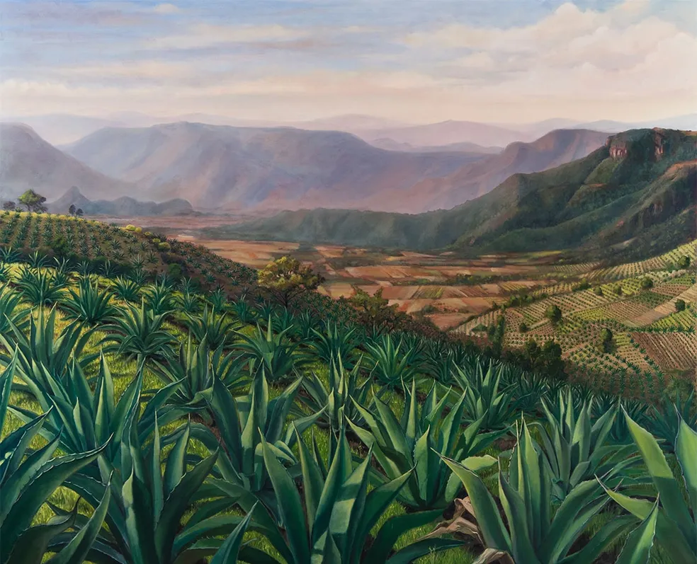 Valle de los Picudos